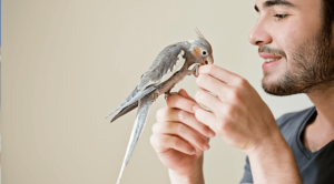 bird being held by owner who is admiring his pet