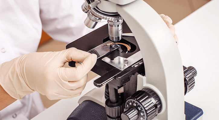 vet professional looking at sample slide on microscope